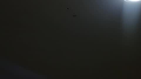 oriana_111 online show from May 4, 2026, 11:28 am