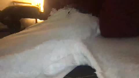 orvillewhitencocker online show from March 23, 2026, 11:20 pm