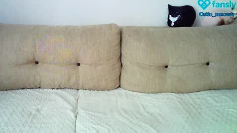 Ostin online show from March 8, 2025, 5:17 am