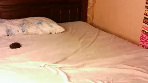 Snapshot of pacie1 chatting on November 22, 2025, 12:15 pm Pacie online show from November 22, 2025, 12:15 pm