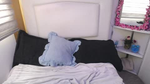 Snapshot of palmer_mix chatting on December 28, 2024, 4:20 pm Palmer online show from December 28, 2024, 4:20 pm