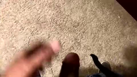 Snapshot of palote_69 chatting on November 15, 2025, 3:37 am palote_69 online show from November 15, 2025, 3:37 am