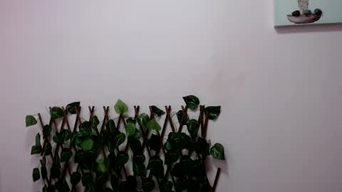 Pamela Claus online show from January 30, 2025, 12:18 am