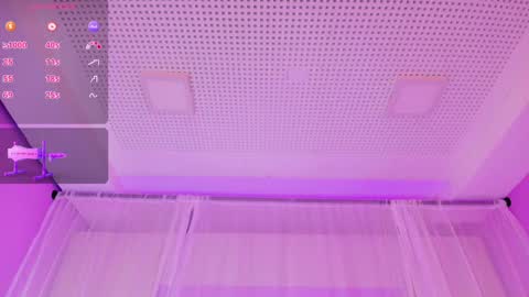  P A M  online show from February 4, 2025, 11:38 pm