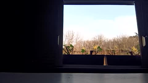 angel hris online show from April 3, 2026, 3:43 pm