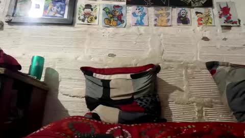 panthers_room online show from January 14, 2025, 11:27 pm