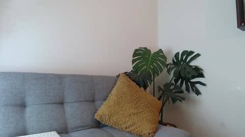 Snapshot of pantyhose_xxx_ chatting on December 29, 2024, 4:08 pm pantyhose_xxx_ online show from December 29, 2024, 4:08 pm