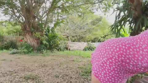 paoguerrax354 online show from April 19, 2026, 6:10 pm