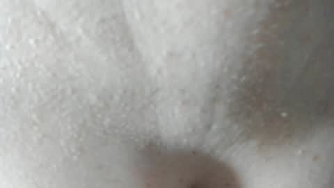 Snapshot of parejacachonda chatting on December 7, 2024, 6:04 pm sara and andreu online show from December 7, 2024, 6:04 pm