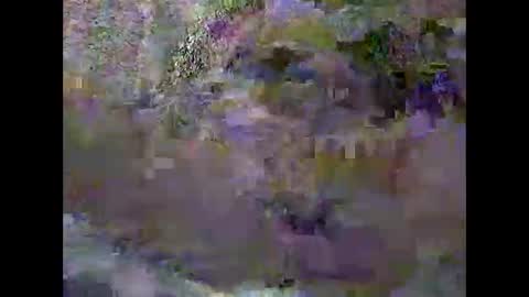 anytimeuwant online show from February 3, 2026, 12:32 pm