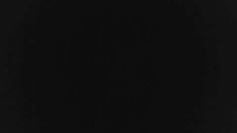 pat1096 online show from January 18, 2026, 2:10 pm