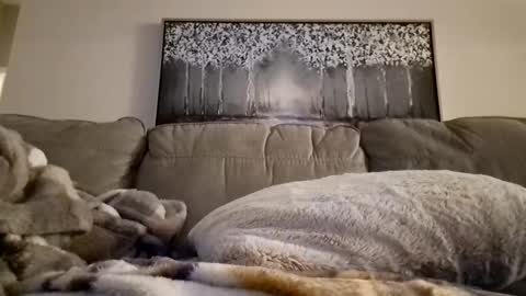 patrick247288 online show from February 12, 2025, 12:22 pm