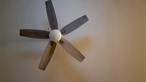 patrick247288 online show from November 7, 2025, 6:13 am