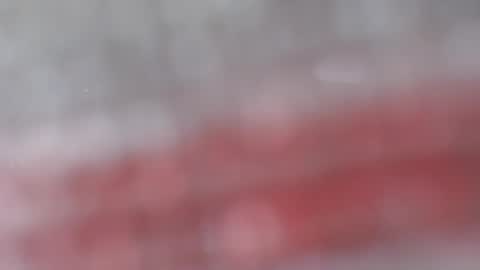 patty squirt87 online show from February 24, 2026, 3:04 am