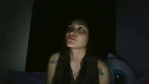 Snapshot of pau_cat chatting on April 20, 2026, 5:43 am Pau online show from April 20, 2026, 5:43 am