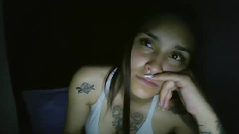 Snapshot of pau_cat chatting on May 13, 2026, 5:38 am Pau online show from May 13, 2026, 5:38 am