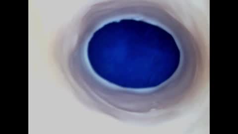 Paula 18 Aninhos online show from March 10, 2026, 6:29 am