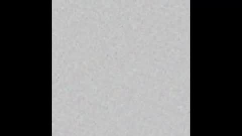 paulblack021 online show from October 9, 2025, 9:51 am