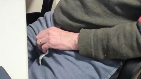 Paul online show from February 10, 2025, 6:45 pm