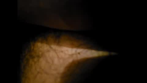 Snapshot of pedritu7 chatting on January 24, 2025, 12:31 am Alex online show from January 24, 2025, 12:31 am