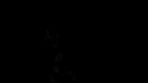 Snapshot of pedritu7 chatting on February 18, 2025, 1:00 pm Alex online show from February 18, 2025, 1:00 pm