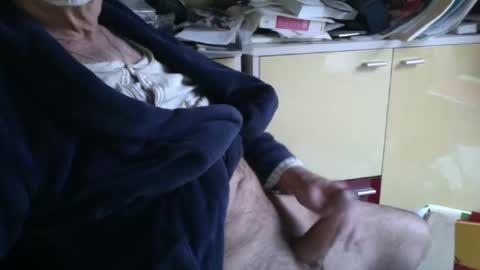 Snapshot of pegaso1000 chatting on January 17, 2025, 2:28 pm pegaso1000 online show from January 17, 2025, 2:28 pm