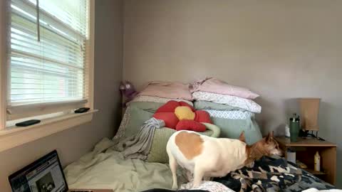 Snapshot of pegggggysue69 chatting on March 20, 2026, 7:30 pm pegggggysue69 online show from March 20, 2026, 7:30 pm