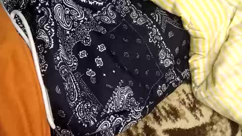 perdido4_20 online show from January 5, 2025, 2:08 pm