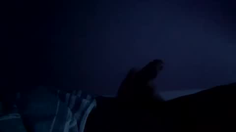 Snapshot of perfect427482577143 chatting on February 26, 2026, 8:24 am perfect427482577143 online show from February 26, 2026, 8:24 am