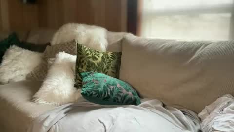 Nelly online show from September 17, 2025, 4:08 pm