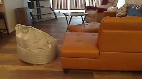 perfecto1957 online show from January 5, 2025, 4:48 pm