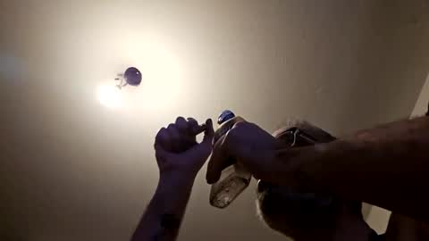 pervpig1 online show from November 27, 2025, 10:45 pm