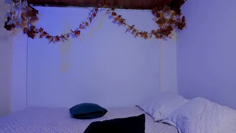 Rose online show from December 4, 2024, 10:08 pm