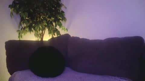 petite treat  online show from December 19, 2024, 10:56 am