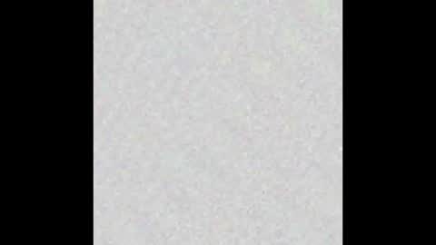 Snapshot of phu_q chatting on January 16, 2025, 1:47 pm DDT online show from January 16, 2025, 1:47 pm