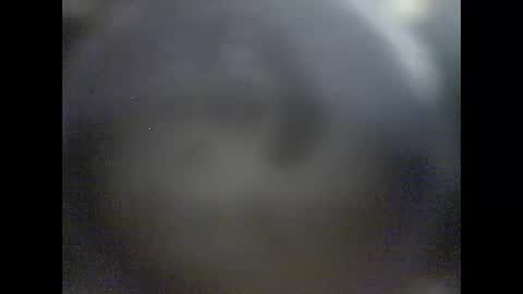 pierrecard1 online show from January 12, 2026, 6:40 am