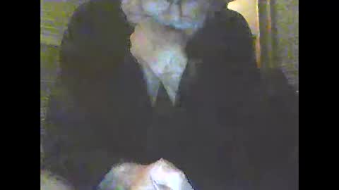 pigbear4trans online show from December 31, 2024, 10:15 am