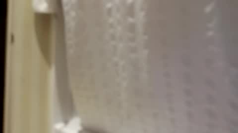 pigbear4trans online show from September 30, 2025, 6:51 am