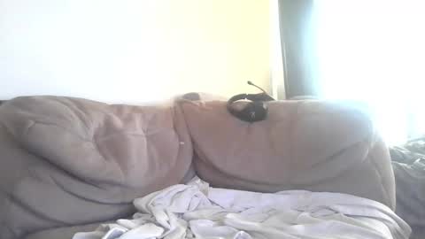 Piggyfun1979 online show from March 1, 2026, 1:51 am