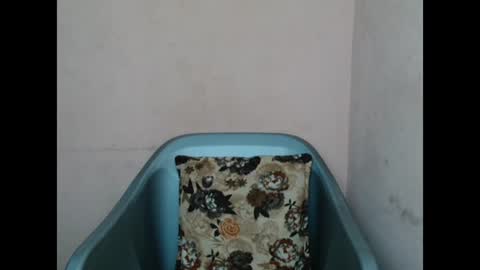 Snapshot of pinkyxxpussy chatting on February 8, 2026, 11:19 pm pinkyxxpussy online show from February 8, 2026, 11:19 pm