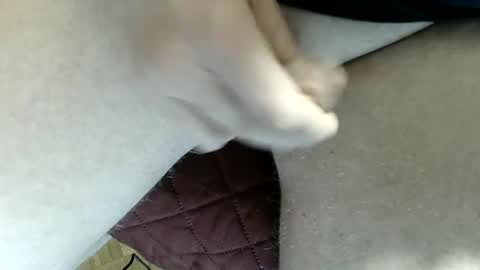 pippo online show from February 2, 2025, 11:40 am