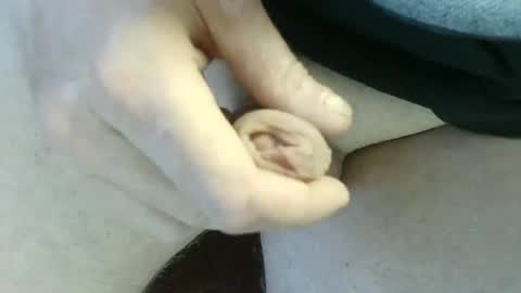 pippo online show from September 14, 2025, 4:39 pm