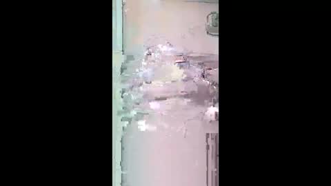 pitoloko73 online show from April 5, 2026, 9:39 am