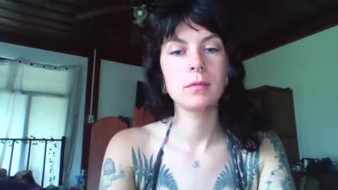 pixiecatfairy online show from November 23, 2025, 3:17 am