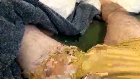 playful_hon online show from February 1, 2026, 3:10 pm