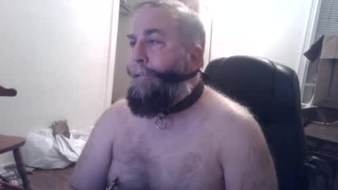 pleasurepuppt online show from December 3, 2024, 1:52 am