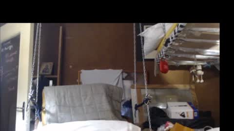 Plumerialba online show from December 15, 2024, 4:04 pm