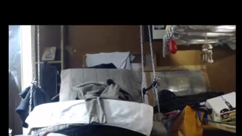 Plumerialba online show from December 29, 2024, 9:28 am