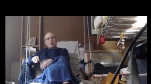 Plumerialba online show from January 12, 2025, 12:23 pm