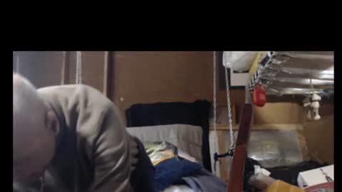 Plumerialba online show from January 26, 2025, 12:01 pm